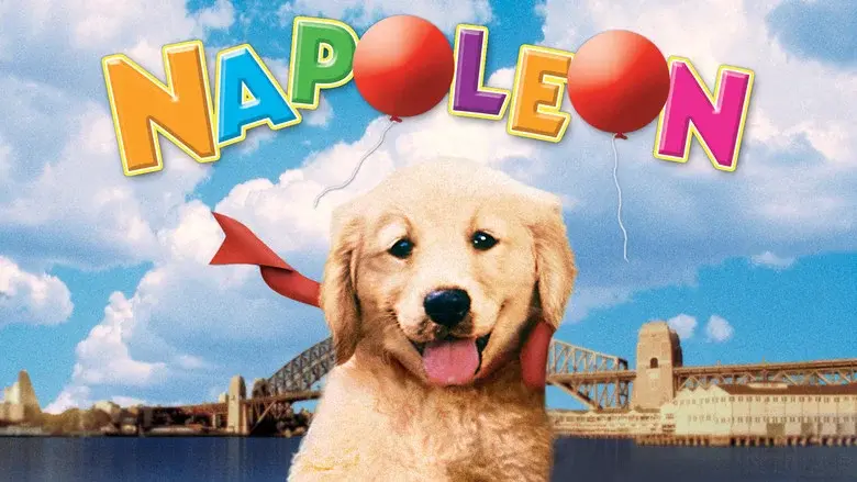 Napoleón, el perrito aventurero - Fondo
