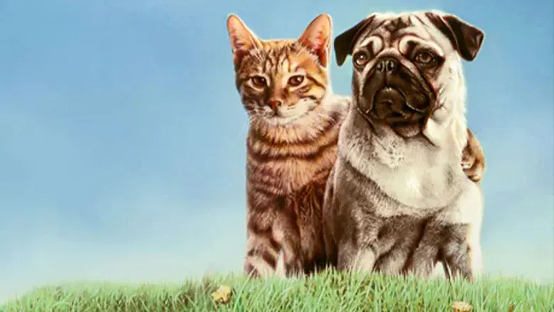 Las aventuras de Chatrán - Fondo