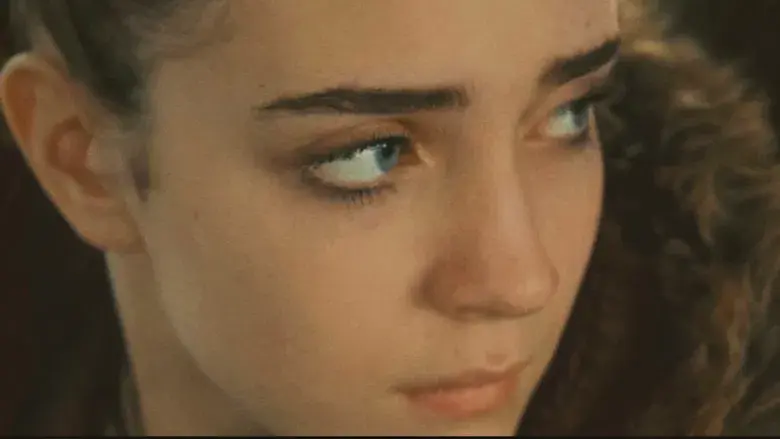 Nunca, casi nunca, a veces, siempre - Fondo