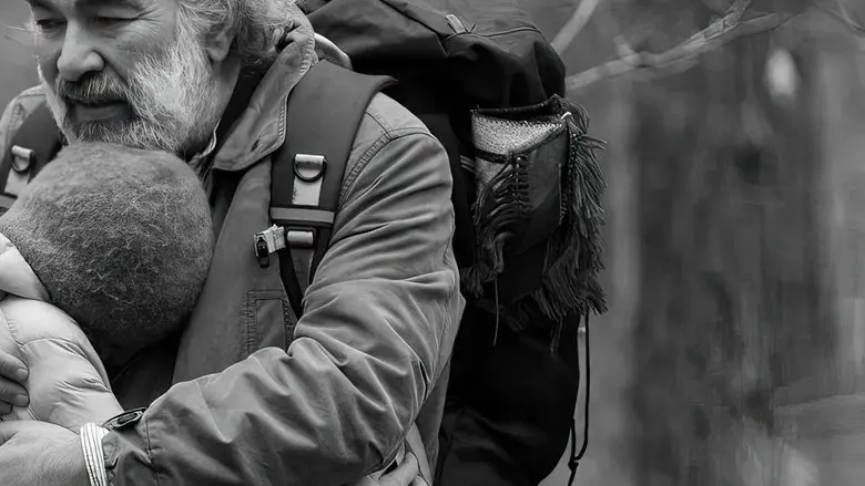 Green Border - Fondo