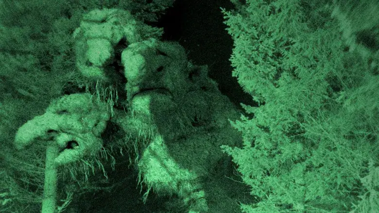 Troll Hunter - Fondo