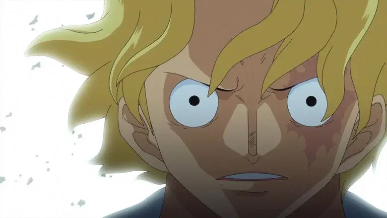El vínculo entre hermanos ¡El reencuentro entre Luffy y Sabo!