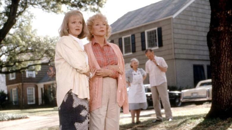 La fuerza del cariño: La historia continua - Fondo