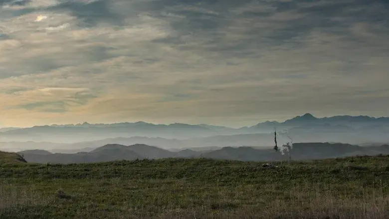 Predator: La presa - Fondo