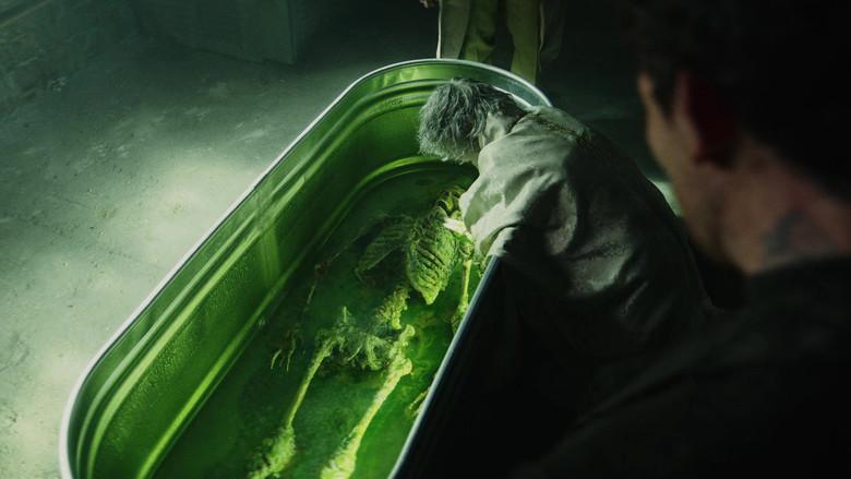 Puñales por la espalda: De entre los muertos - Fondo