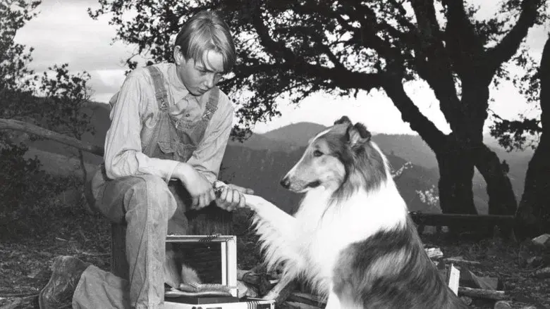 Nueva alborada - Fondo