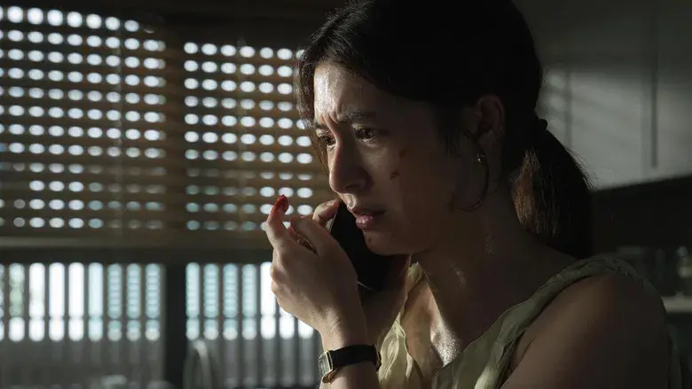 La línea roja - Fondo