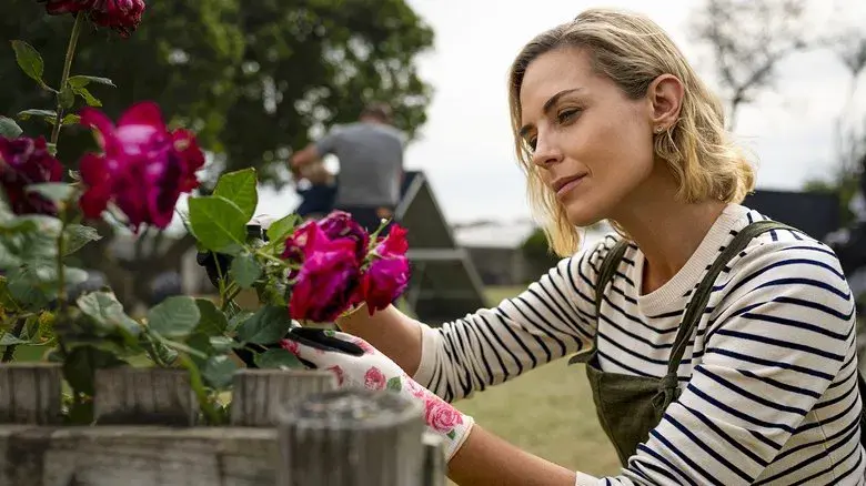 En busca de venganza 2: Ciudad de los lobos - Fondo