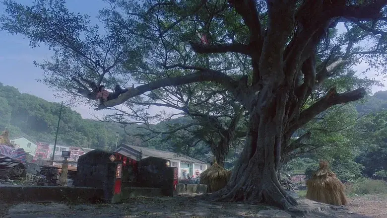 我愛扭紋柴 - Fondo