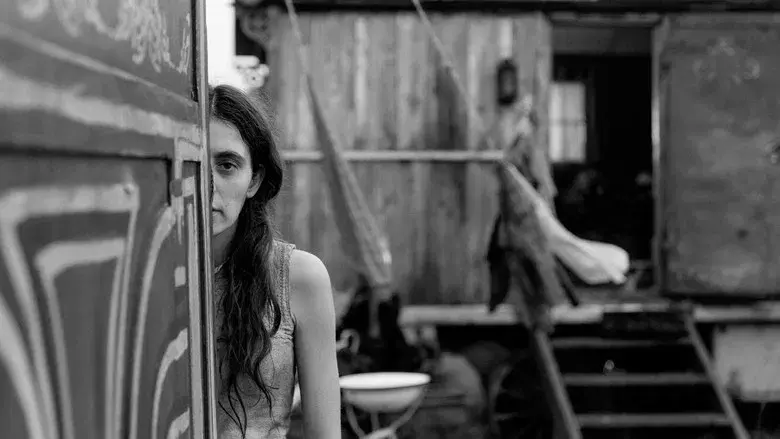 La chica de la aguja - Fondo