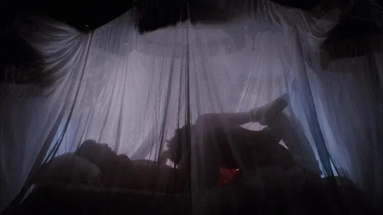 The Rocky Horror Picture Show - Fondo