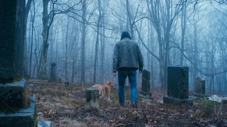 Good Boy - Fondo