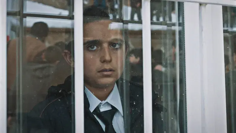 Mi mejor amigo - Fondo