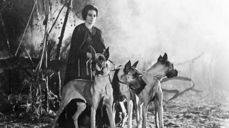 La maldición de la Llorona - Fondo