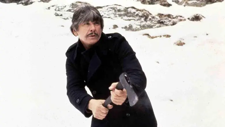 Amor y balas - Fondo