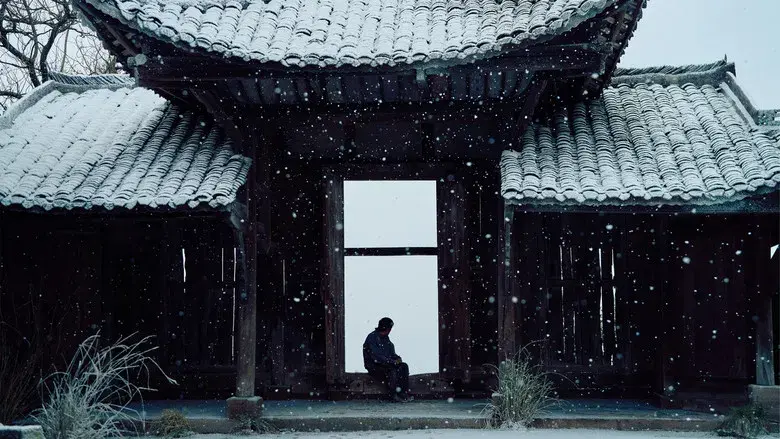 狂野时代 - Fondo