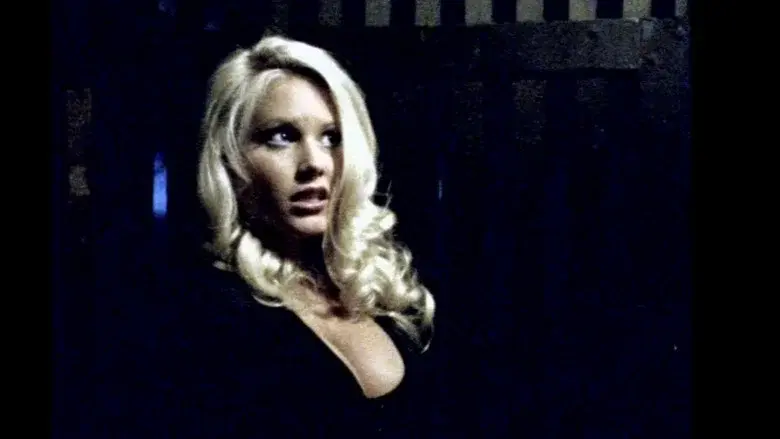 Playboy Video Playmate Calendar 2001 - Fondo