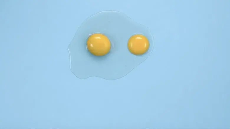 La sustancia - Fondo