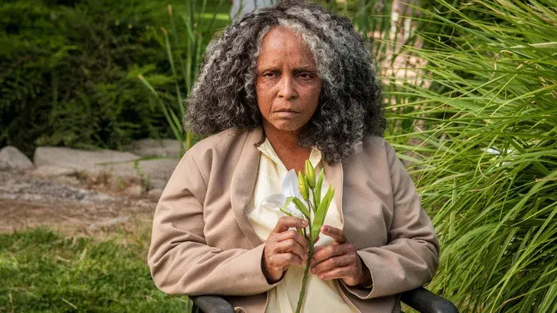 Pesadilla americana - Fondo