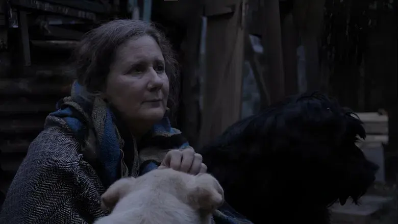 La mujer de los perros - Fondo