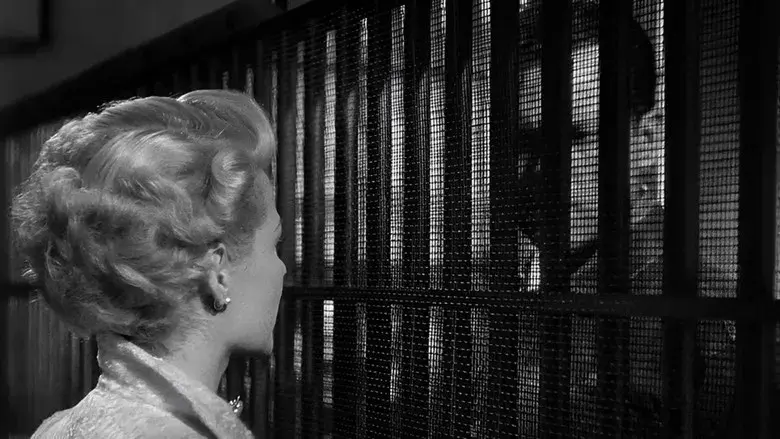 La dama de Shanghai - Fondo