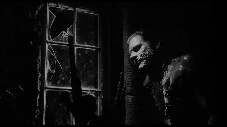 Cabeza borradora - Fondo