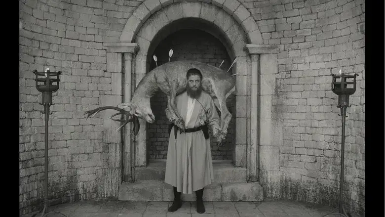 La trama fenicia - Fondo