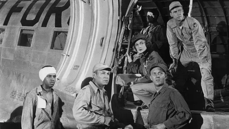 Flight Nurse - Fondo