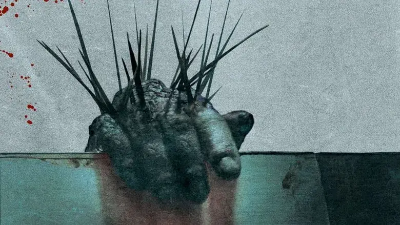 Splinter - Fondo