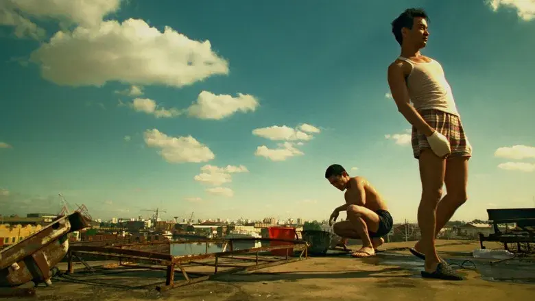 Happy Together - Backdrop