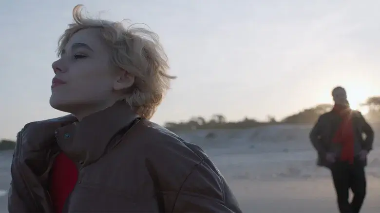 Los terrenos - Fondo