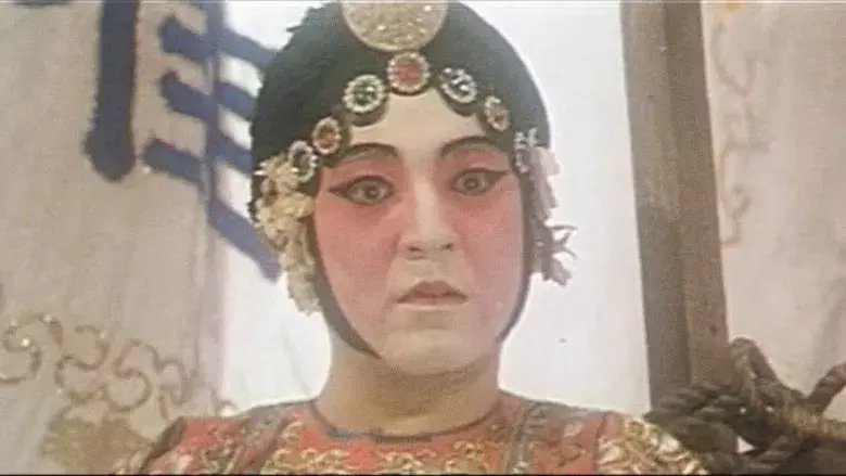 男生女相：華語電影之性別 - Fondo