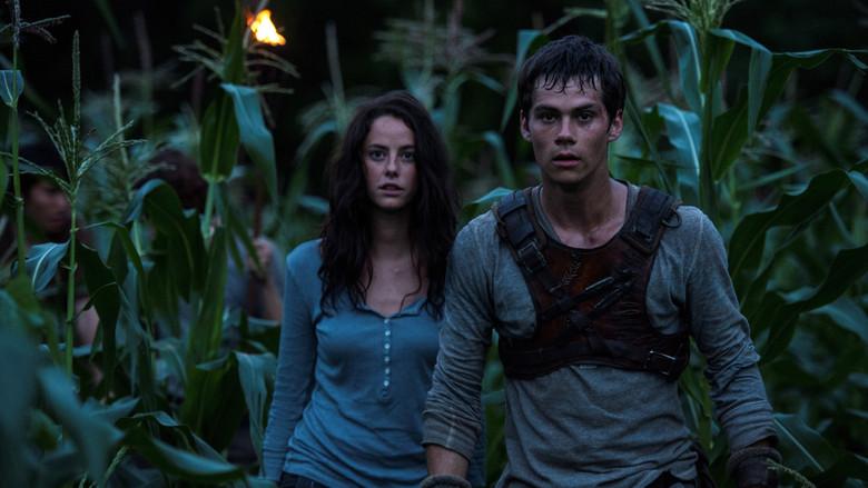 El corredor del laberinto - Fondo