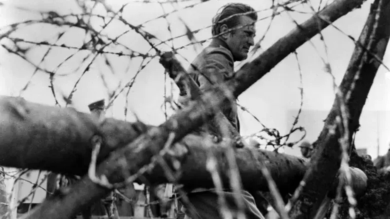 Senderos de gloria - Fondo