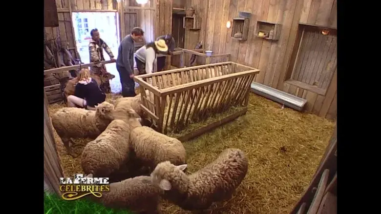 Episodio 3