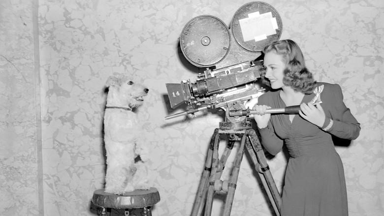 La sombra de los acusados - Fondo