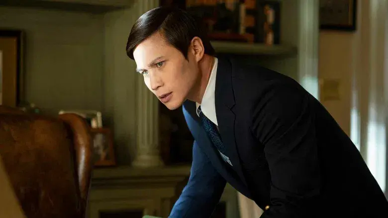 El simpatizante - Fondo