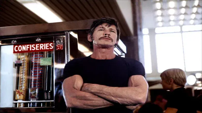 Cold Sweat - Backdrop