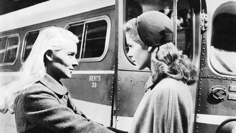 Vidas borrascosas - Fondo