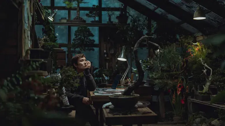 No hay otra opción - Fondo