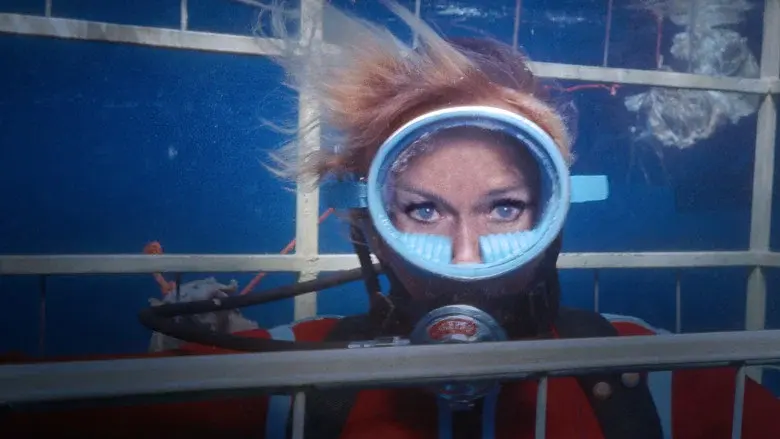 Jugando con tiburones - Fondo