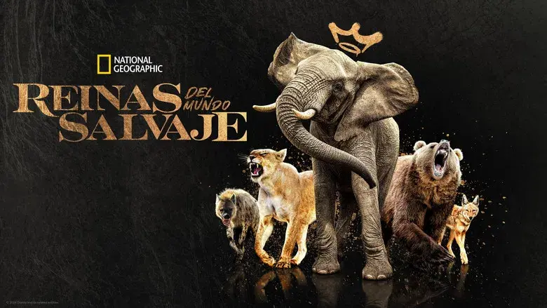 Reinas del mundo salvaje - Fondo