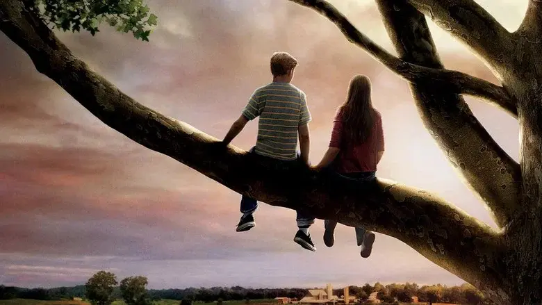 Flipped - Fondo