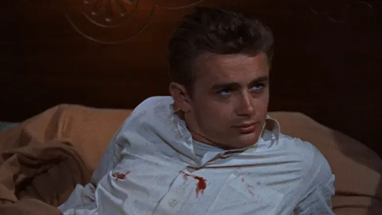 Rebelde sin causa - Fondo