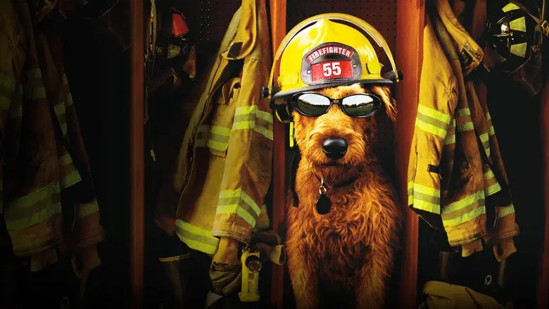 Perro al rescate - Fondo