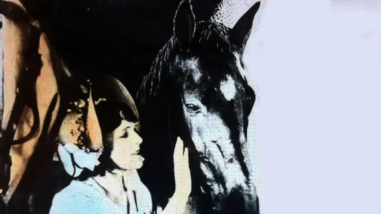 Black Beauty - Fondo