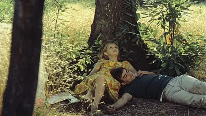 La felicidad - Fondo