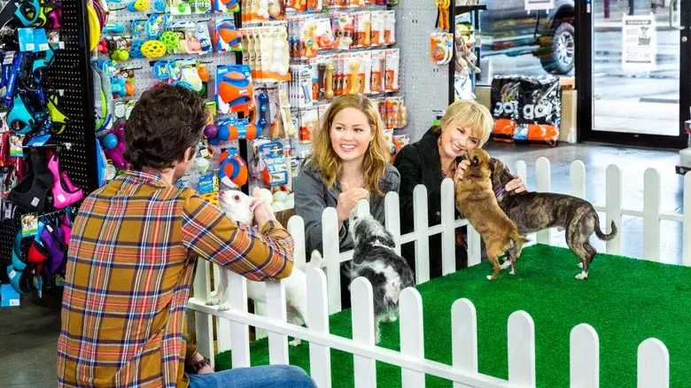 Mis novios, sus perros y yo - Fondo