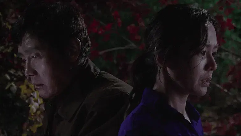 No hay otra opción - Fondo