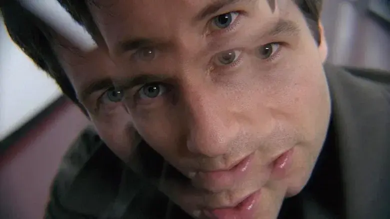 La guerra de los coprófagos